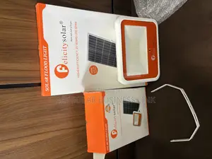 Felicity 100w Flood Light