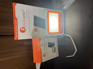 Felicity 100w Flood Light