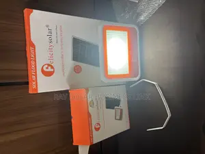Felicity 100w Flood Light