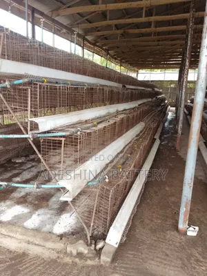 Fairly Used Cages Complete Materials
