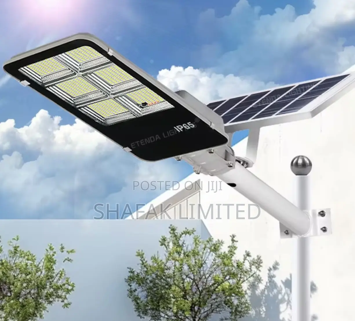 Solar Street Light
