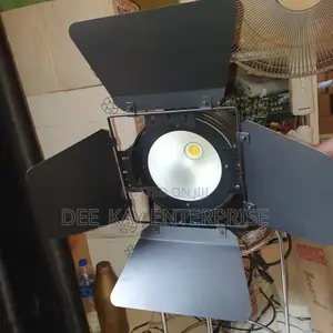 Cob 200 Watts Par Cans Light