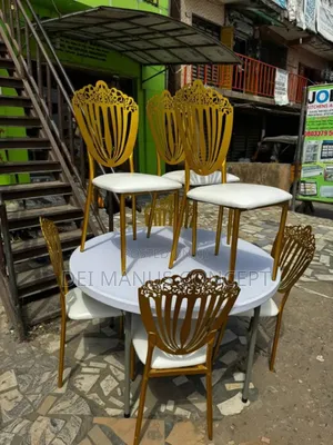 Vip Event Chair for Wedding