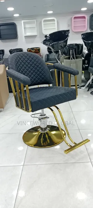 Unique Design Unisex Salon Chair