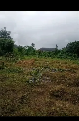 Dry Land 100*50