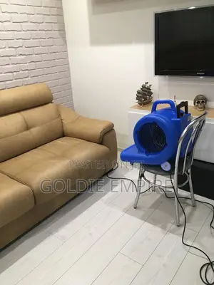 Upholstery ( Couch Cleaning )