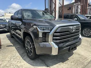 New Toyota Tundra 2024 Gray