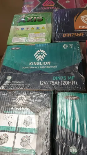 Original Car Battery Available in Stock Lion