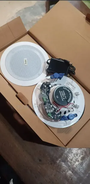 Ceiling Bluetooth Speaker