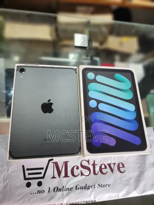 Apple iPad mini (2021) 256 GB Gray