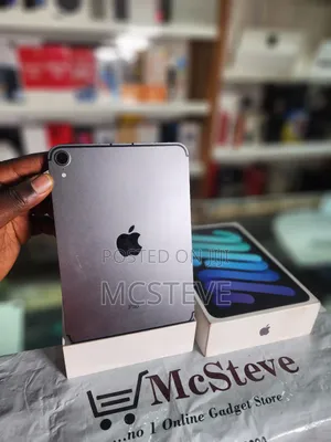 Apple iPad mini (2021) 256 GB Gray