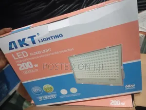 200w Akt High Quality Electric Floodlight