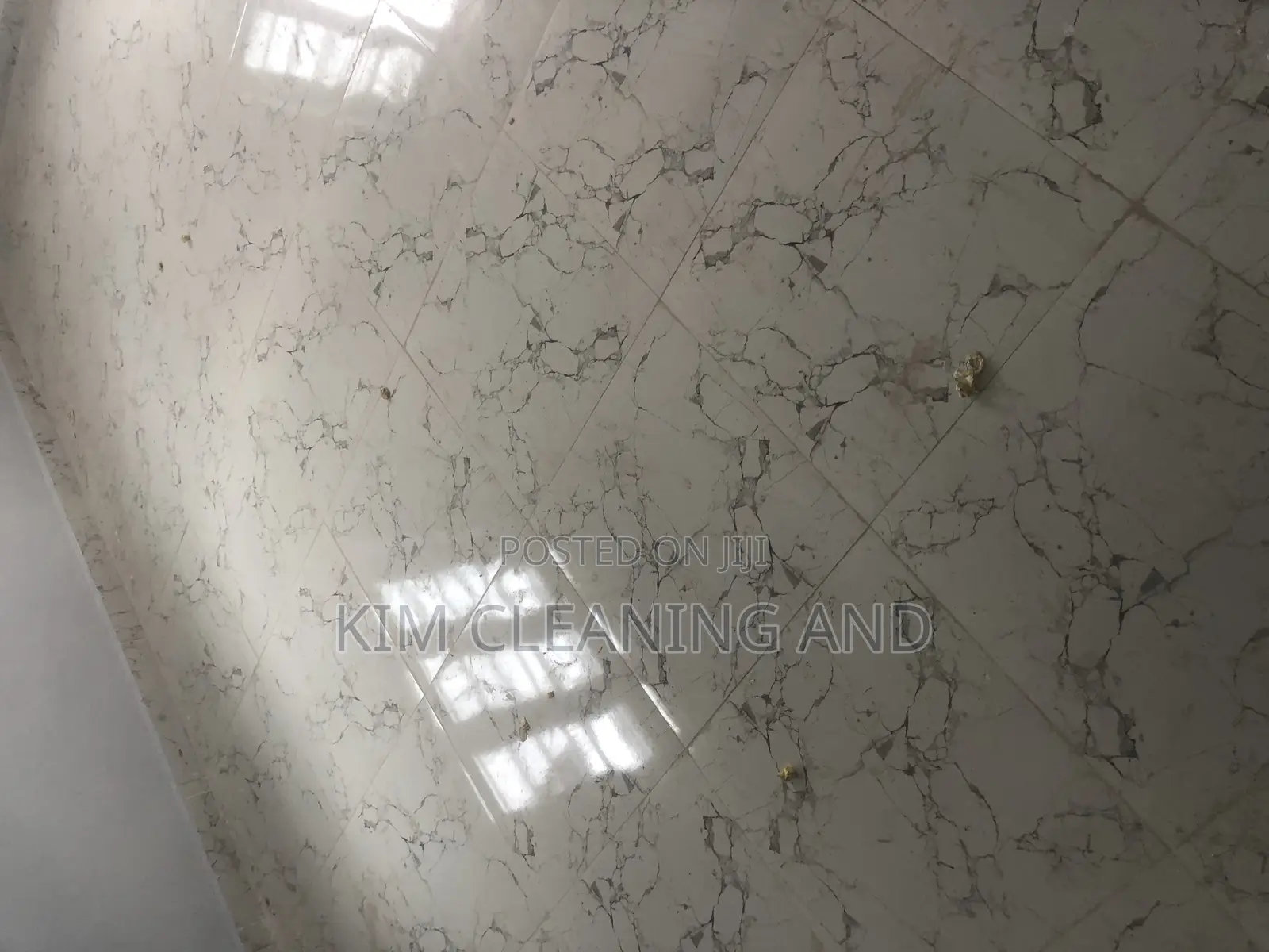Cleaning Services