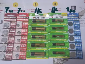Replaceable Batteries