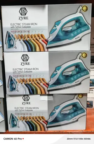 Electric Steam Iron