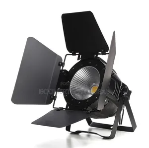 Cob Led Par Light