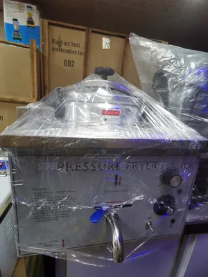 Pressure Fryer 16l