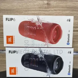 JBL Flip 6