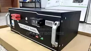 C-Worth Energy Lithium Ion Battery 24v_-_5kwh