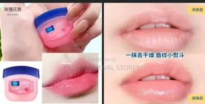 6in1 Hydrating Lip Balm