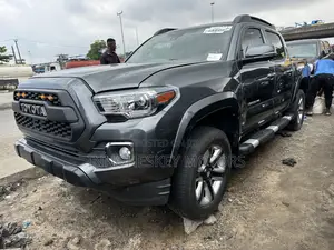 Toyota Tacoma Limited 2019 Gray