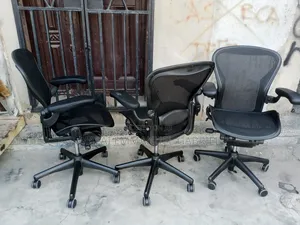 Herman Miller Aeron Chair