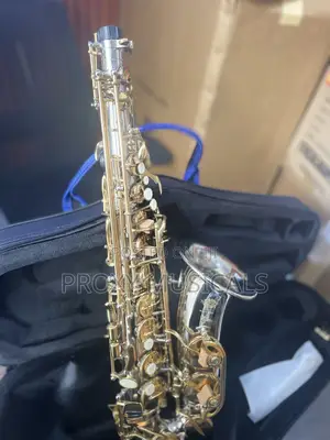 Henri Selmer Paris Gold/Silver Alto Saxophone