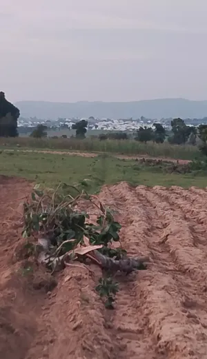 3 Hectares Land With Fcda Rofo, Building Approval 4 Sale at New Pasali