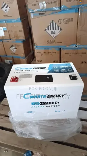 C Worth Energy Lithium Battery 300amps 12v