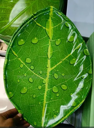 Big Leaf Tray for Souvenir by Doz Price(12)