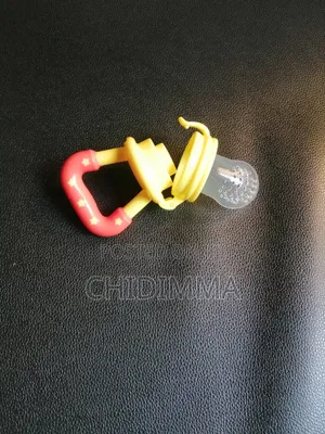 Fruit Pacifier