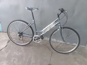 Professional Ladies Sport Bicycle