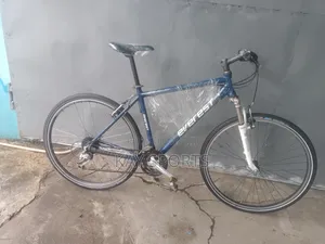 Everest Road Sport Bicycle