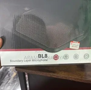 Boundary Layer Microphone