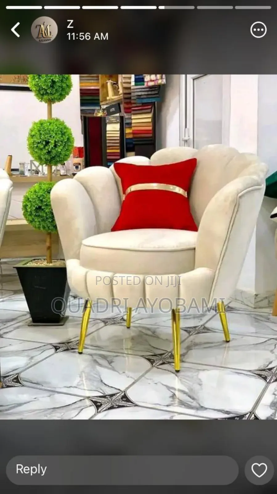 Single Sofa With Pillow