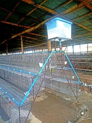 Batery Cage