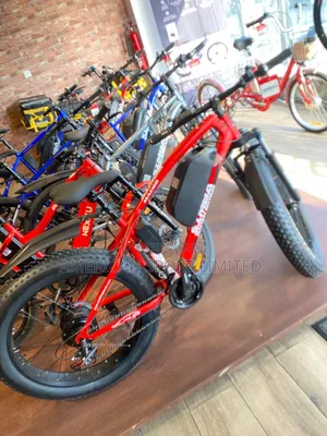 Electric Big Tire Bicycle