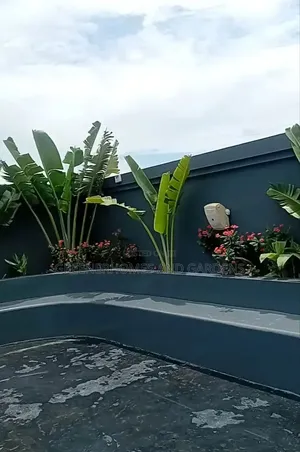 Plants Installation