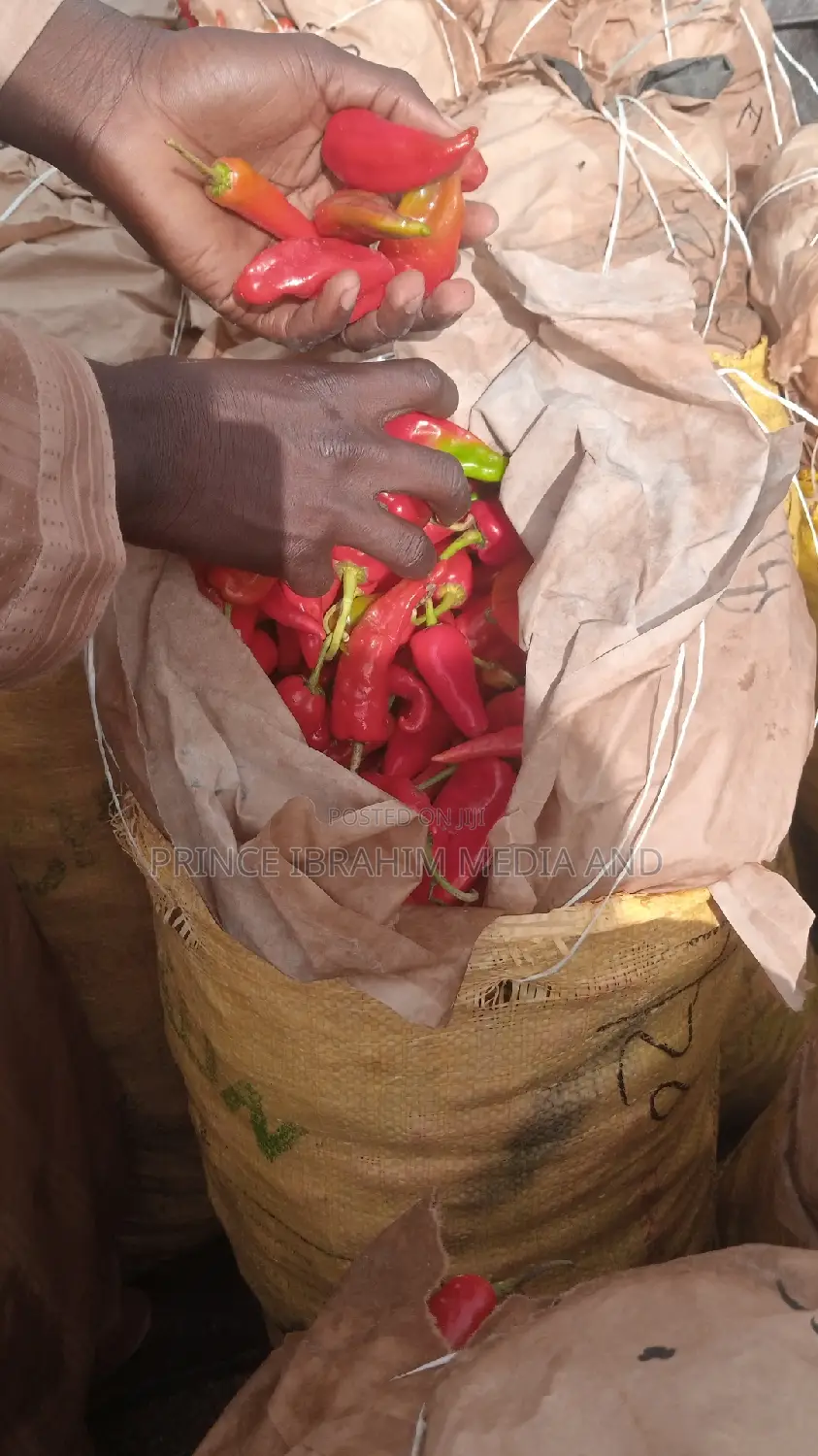 Fresh Shombo