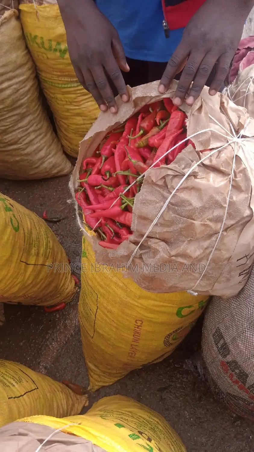 Fresh Shombo