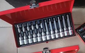 Torx Bit Set