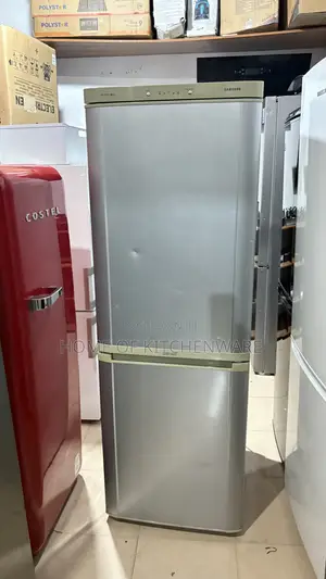 Samsung Double Door Freezer