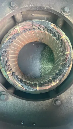 Diesel Generator And Heavy Duty Engines Alternator Recoil Specialist
