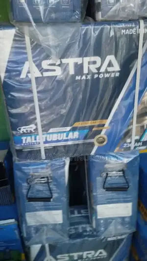 230a Tubular Battery