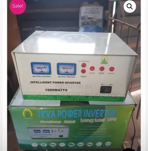 Intelligent 1kva 12v