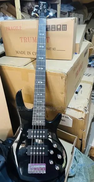 Professional Active Guitar