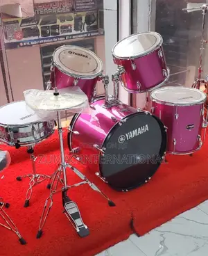 Professional Drum