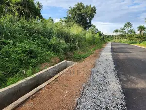 1,000 Acres Close to Ojokoro Poultry Farm — Mechanised Farm Land