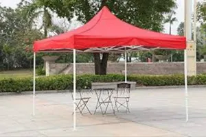 Advertising and Promotional Purposes Canopy