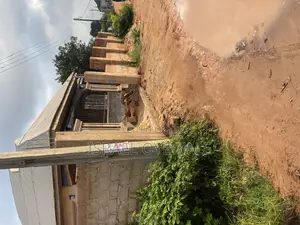 Building Contractor